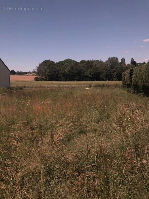 Terrain à FONTENAY-TRESIGNY