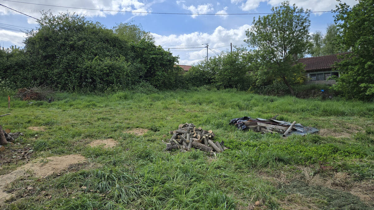 Terrain à LE FUILET