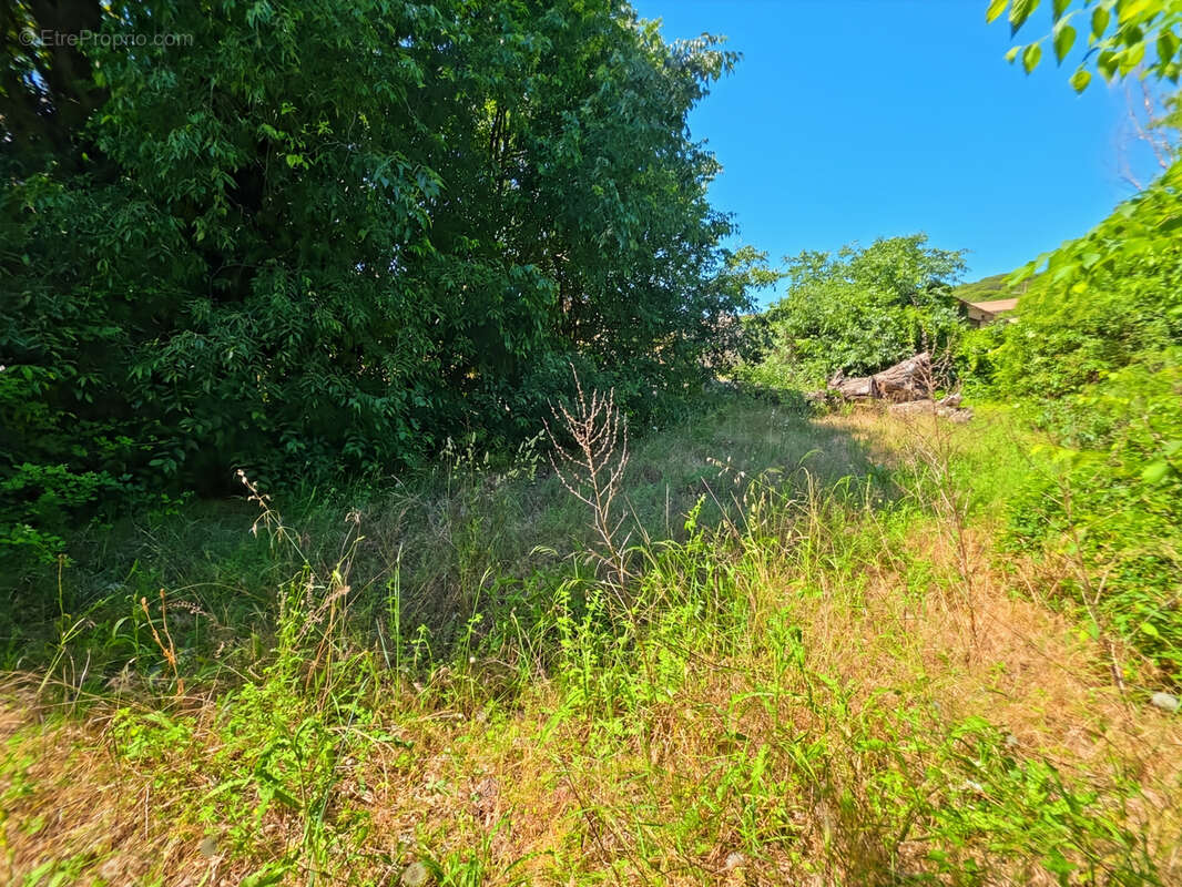 Terrain à BEAUCAIRE