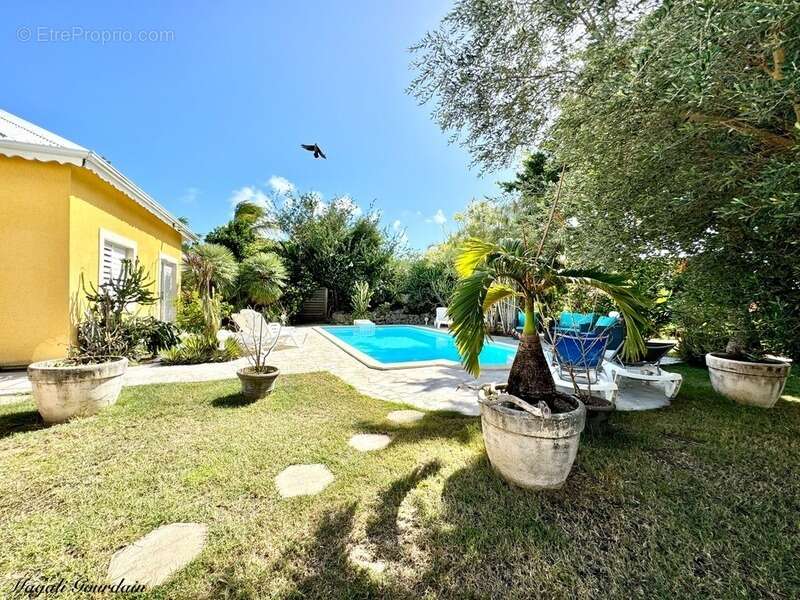 Saint-françois – à 100 mètres de la mer, ensemble immobilier de 3 villas indépendantes - photo 3