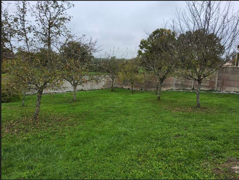 Maison à FRANGY-EN-BRESSE