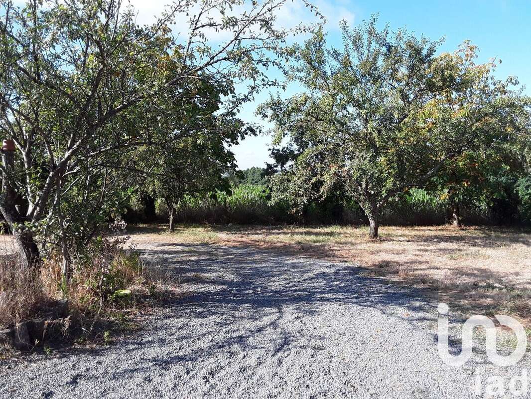 Photo 5 - Maison à CHEMILLE