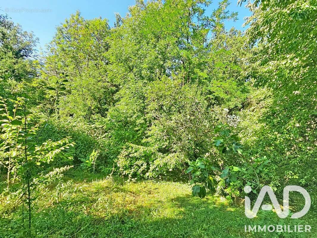 Terrain 1394 m² à Feigeres  - photo 6