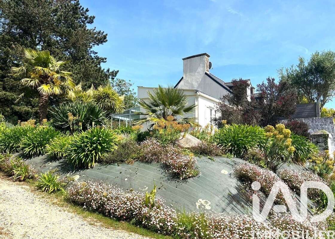 Photo 3 - Maison à PAIMPOL