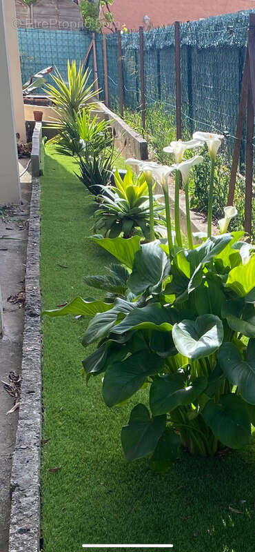 Maison à SIX-FOURS-LES-PLAGES