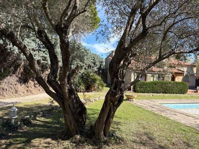 Rare! SAINT ANDRE DE SANGONIS  Magnifique Maison de Maître - photo 10