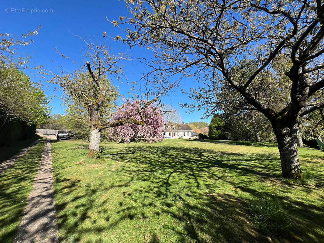 Maison à SAINT-MARTIN-DES-CHAMPS