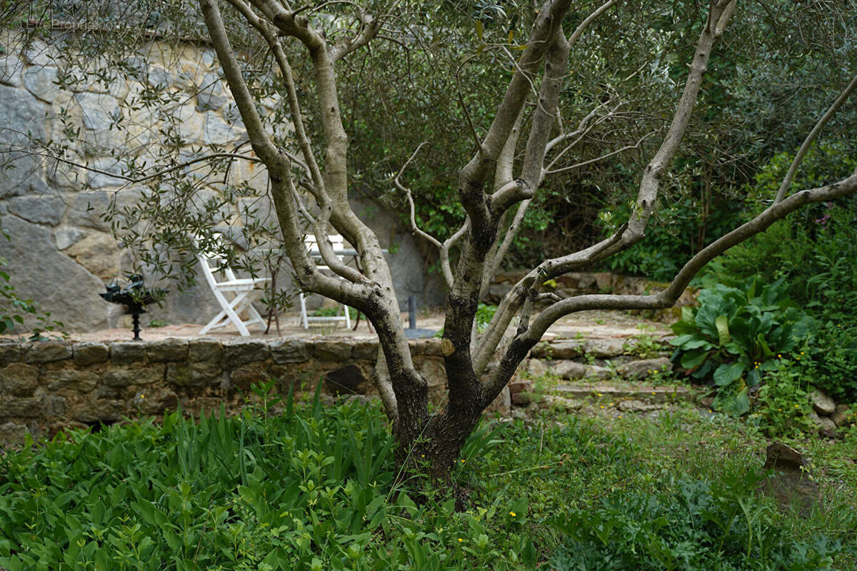 Appartement à MEYRANNES
