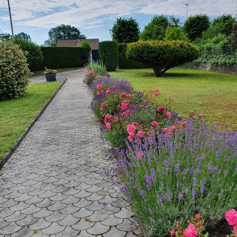 Maison à CHENS-SUR-LEMAN