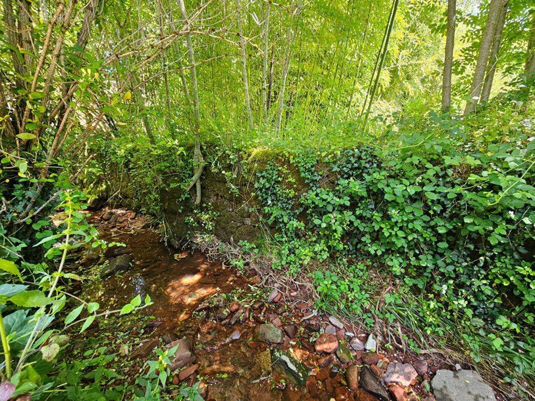 Maison à COLLONGES-LA-ROUGE
