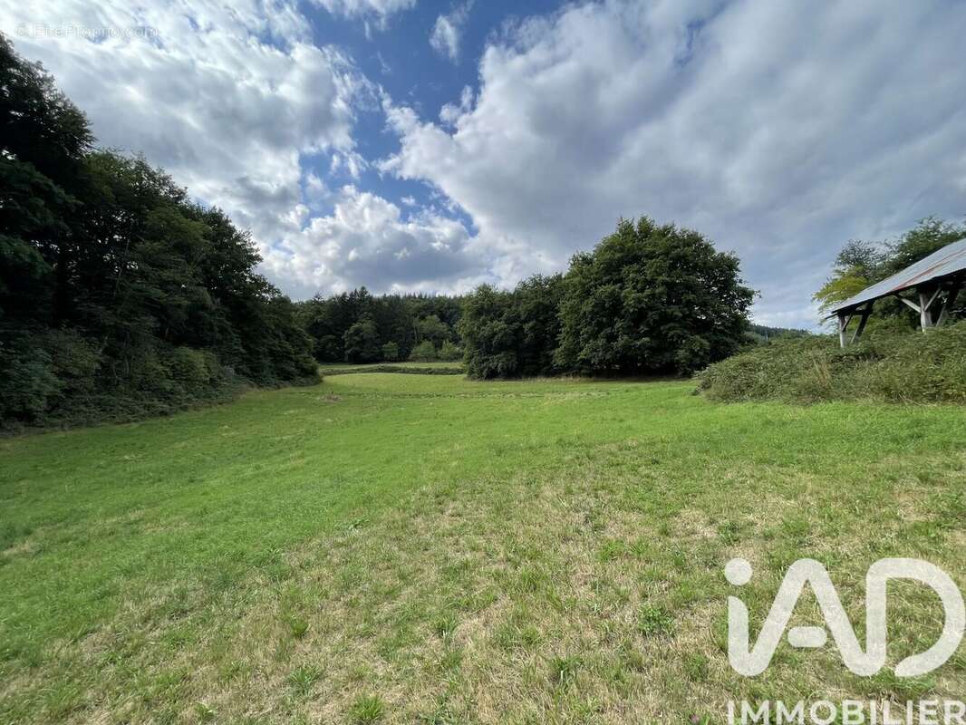 Photo 4 - Maison à NEDDE