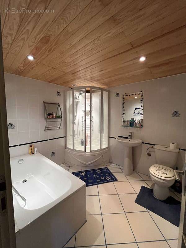 Maison 177 m² à Roumazieres-Loubert  - photo 7