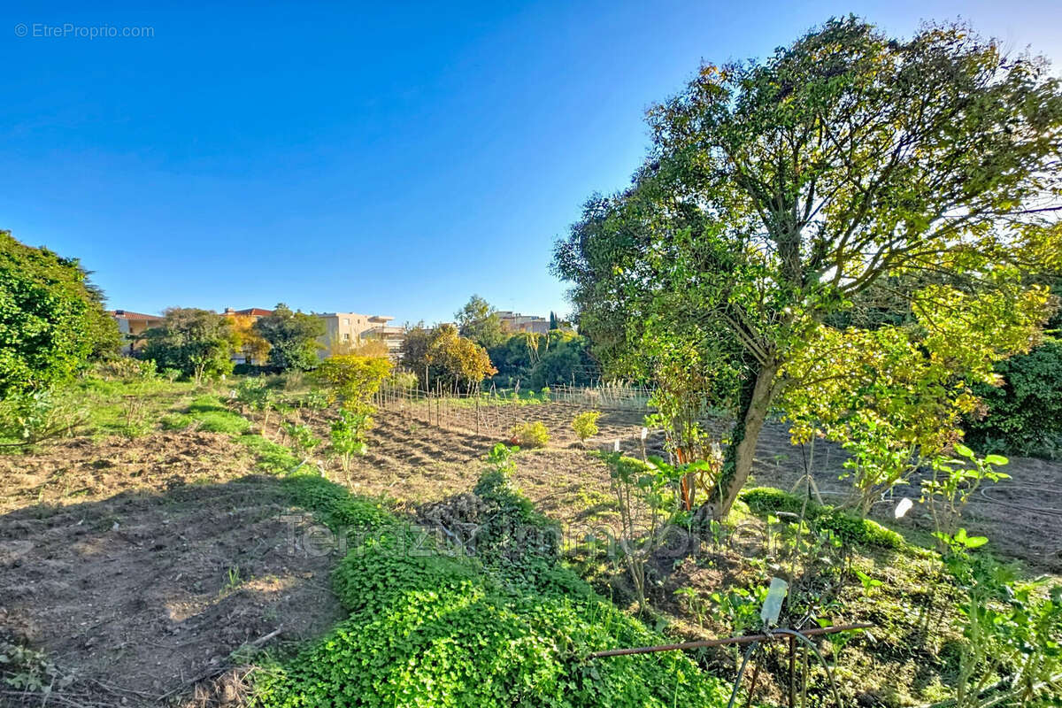 Terrain à VALLAURIS