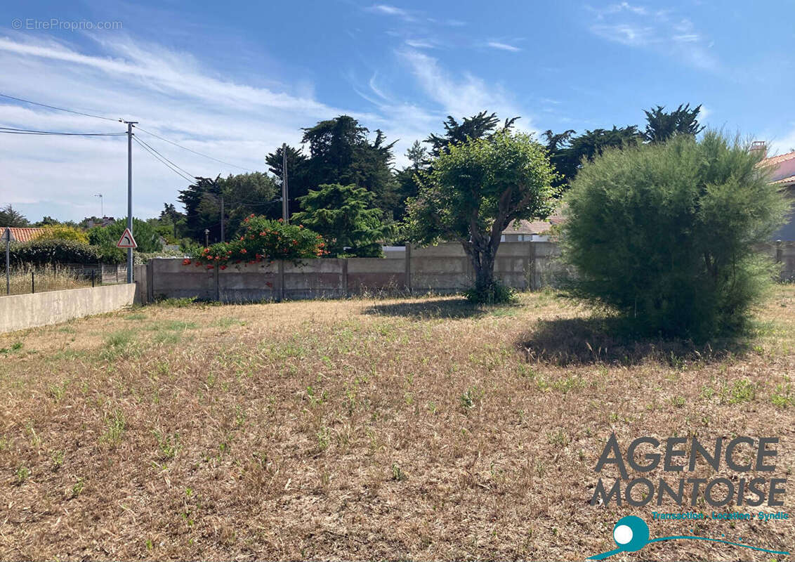 Terrain à NOTRE-DAME-DE-MONTS