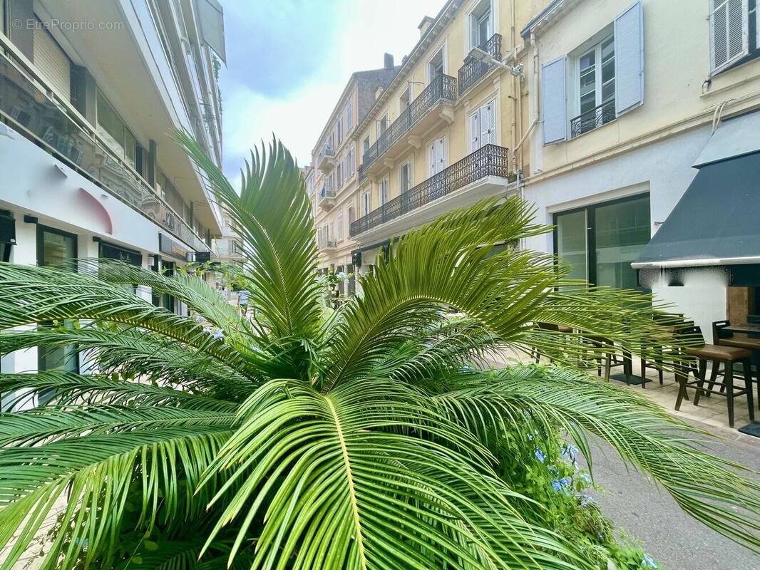 Commerce à CANNES