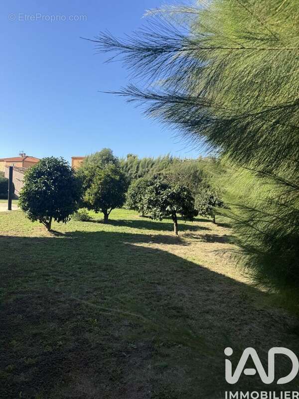 Photo 5 - Maison à VILLELONGUE-DE-LA-SALANQUE