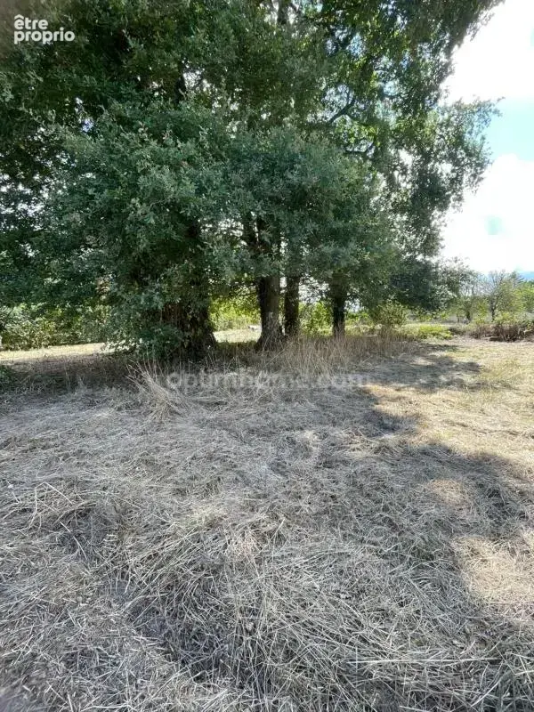 Belle parcelle arborée de 1 695 m² aux portes des accès 4 voies à Ploërmel - photo 5