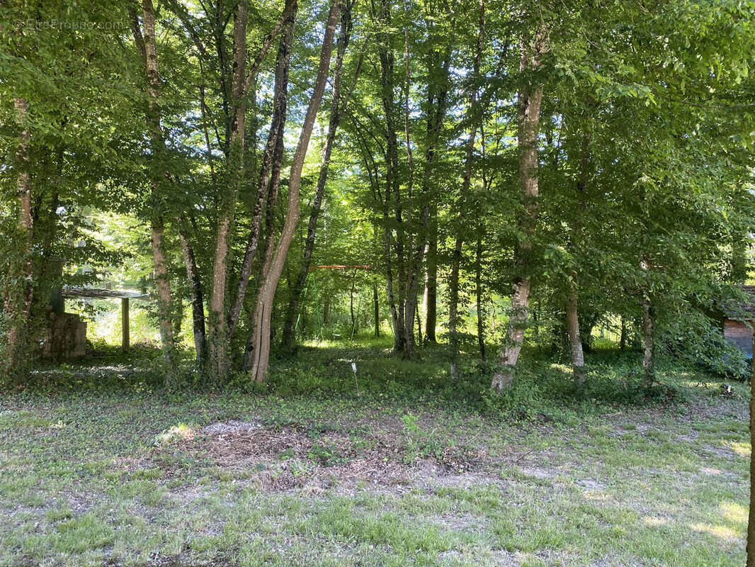 Maison à BAZOCHES-SUR-LE-BETZ