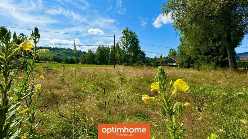 Terrain à LE THILLOT