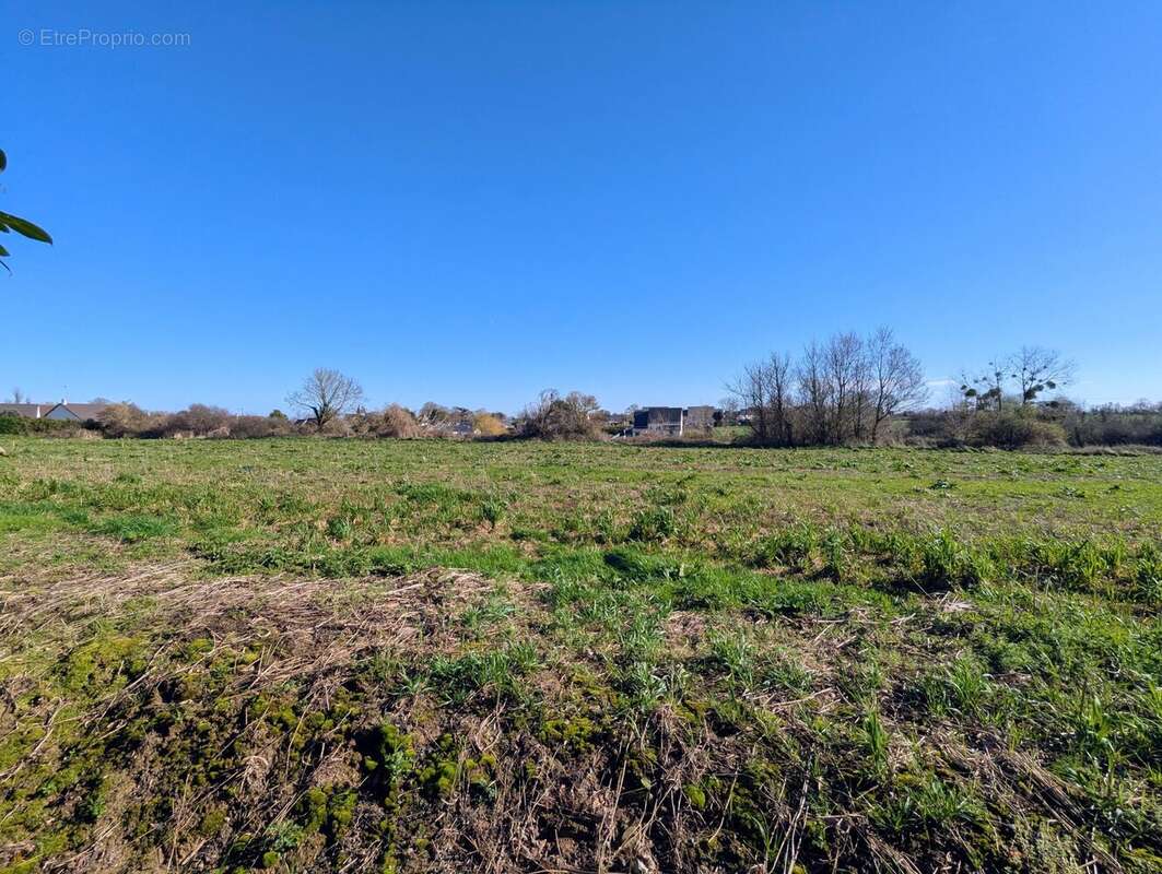 Terrain à GRANDCAMP-MAISY