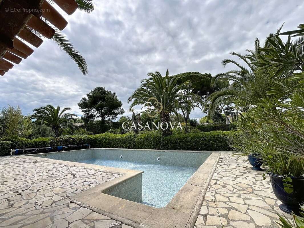 Aux portes de PEZENAS, maison de caractère sur un superbe terrain CONSTRUCTIBLE et DIVISIBLE de 3300 m². A 25 mn du bord de MER, - photo 9