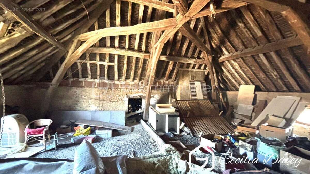 Maison à VILLENEUVE-SUR-YONNE