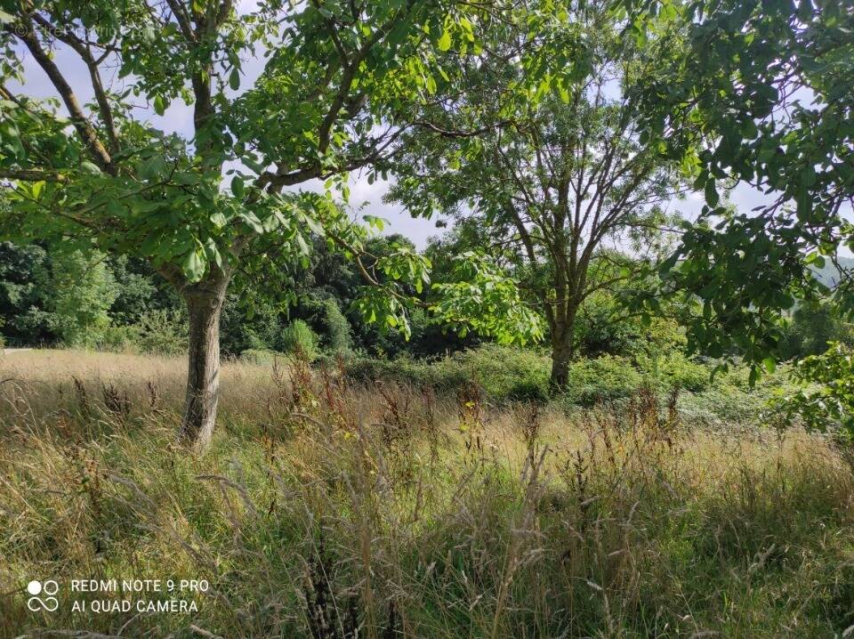 Terrain à LA NOE-POULAIN