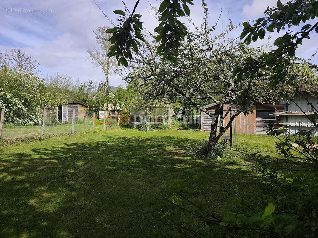 Maison à JORT