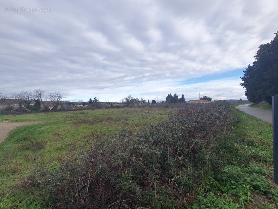 Terrain à SAZE