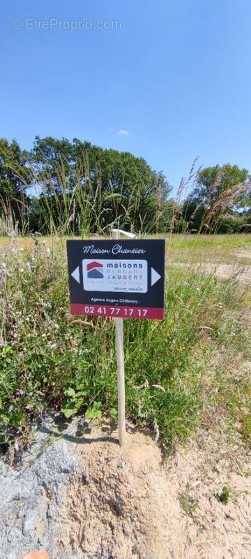 Terrain à BRISSAC-QUINCE