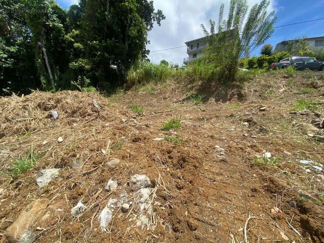 Terrain à LE VAUCLIN