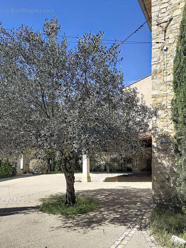 Maison à VAISON-LA-ROMAINE