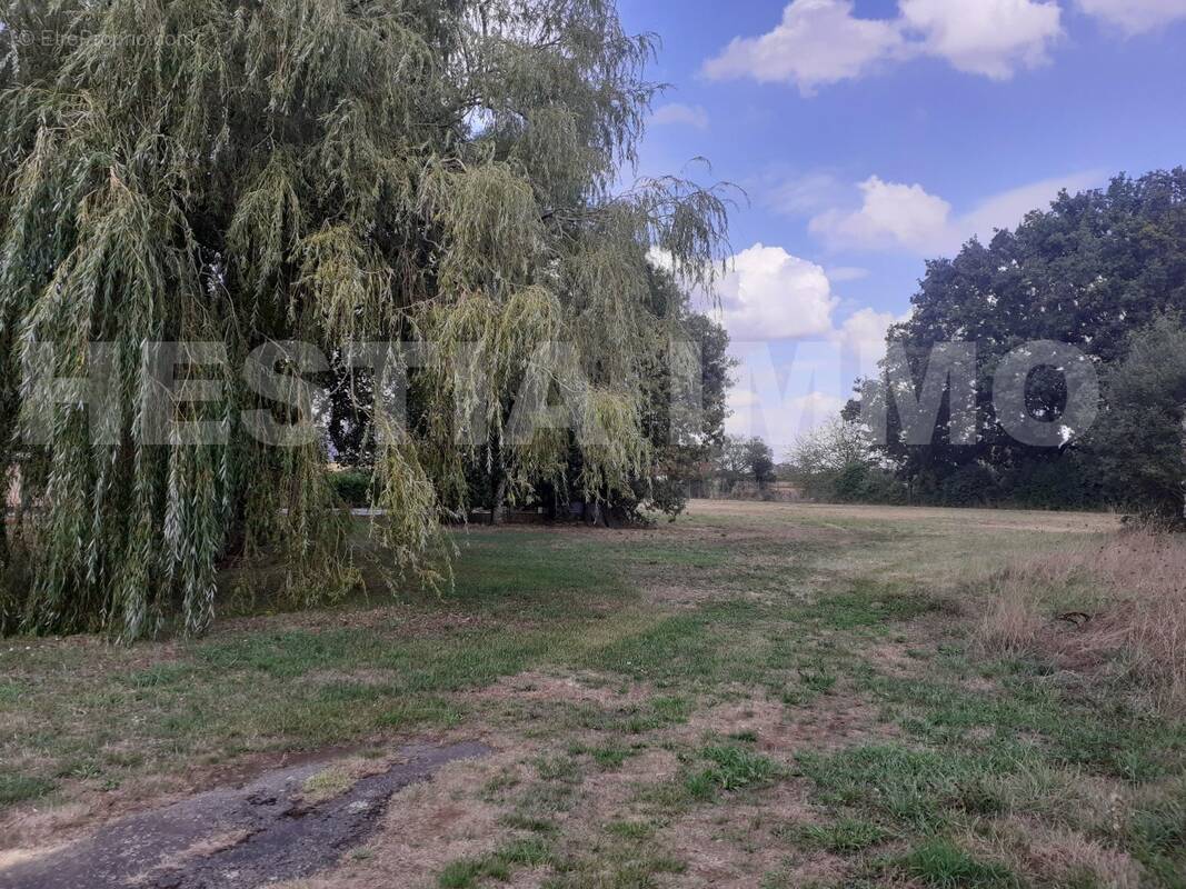 20220905_163255 - Terrain à SAINT-SULPICE-DES-LANDES