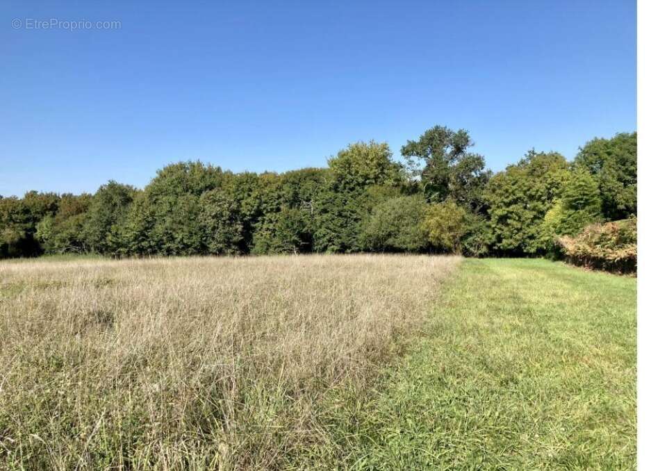 Terrain 950 m² à Bouliac  - photo 2