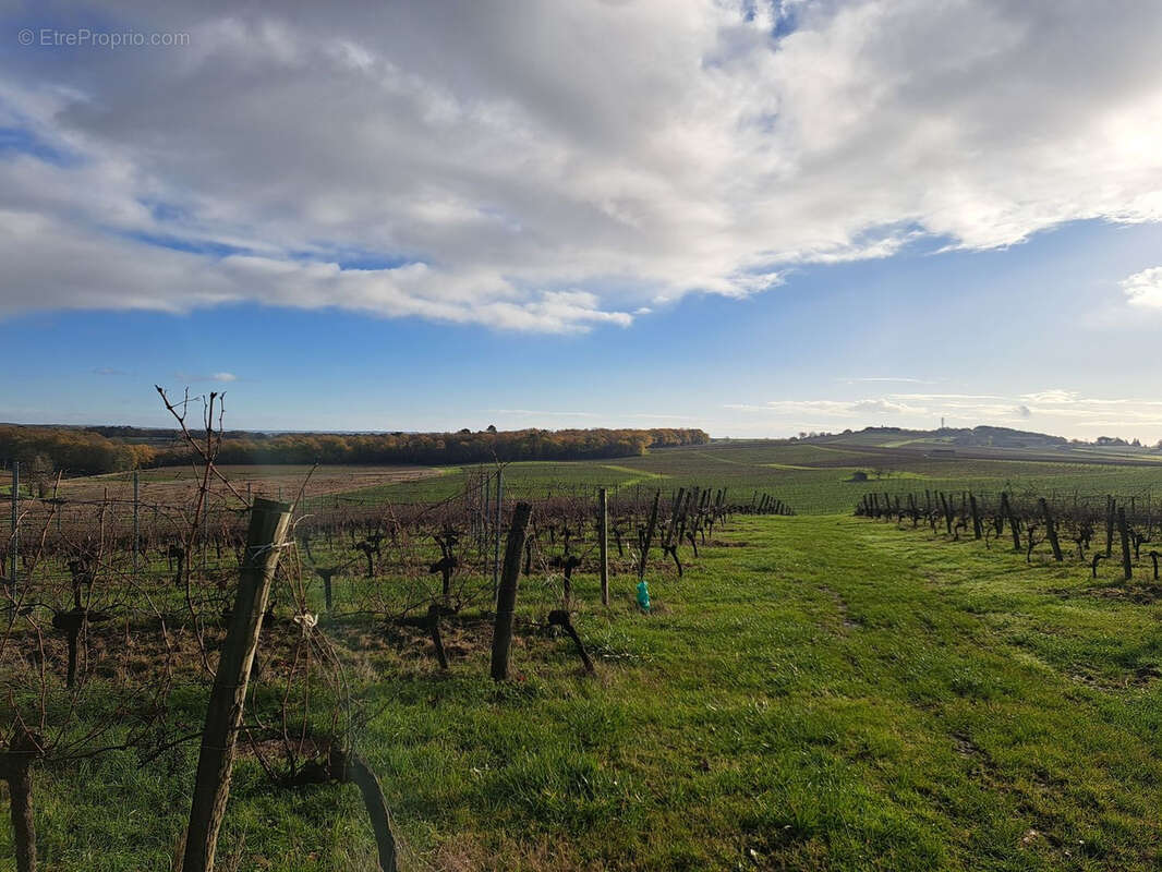 Parking à SAINT-MACAIRE