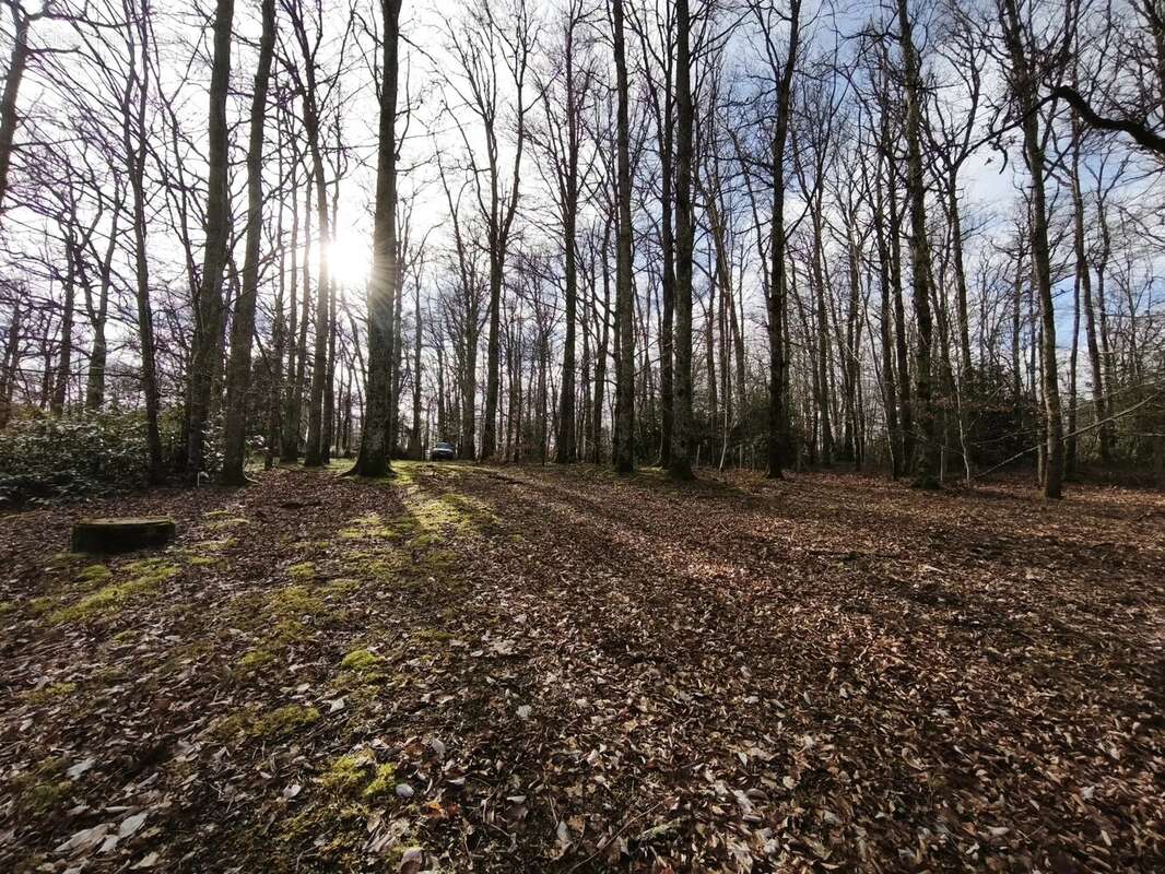 Terrain à PONT-DE-SALARS