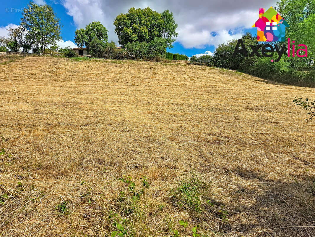 A vendre - renaison - terrain constructible - photo 2