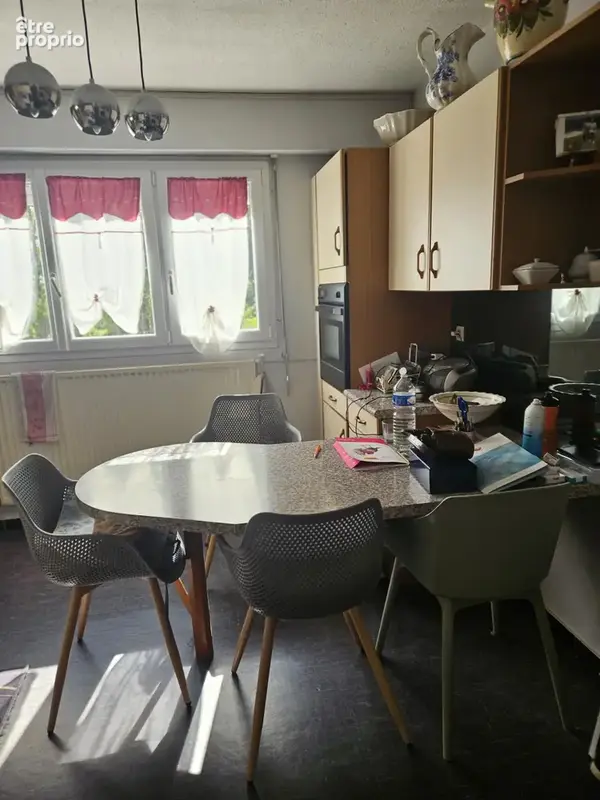 À Chalon-Sur-Saône, appartement à vendre avec 2 chambres, vue Saône. - photo 8