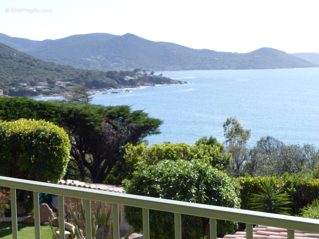 Maison à PIETROSELLA