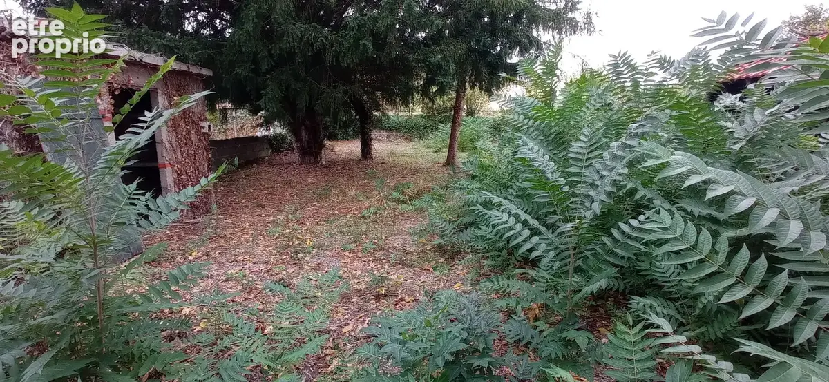 Vente maison f3 a renover montlucon - photo 3