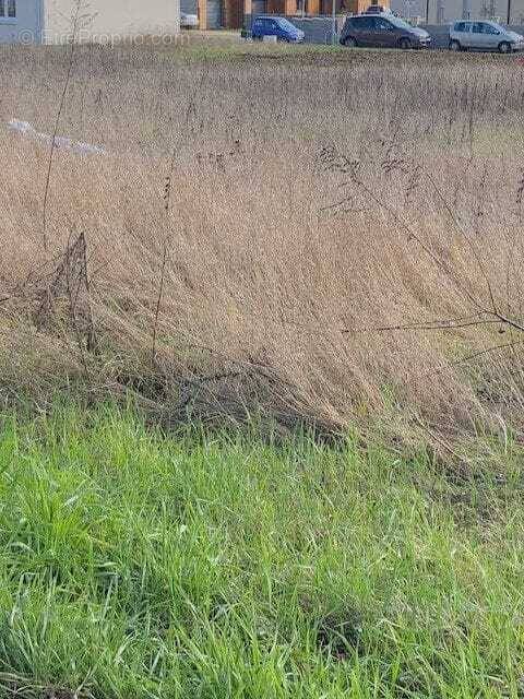 Terrain à VENDEUVRE-DU-POITOU