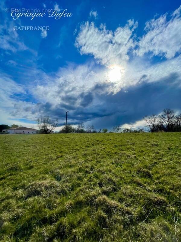 Terrain à LA SALVETAT-BELMONTET