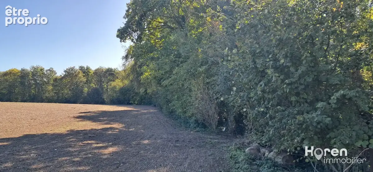 Terrain à VILLERS-SOUS-AILLY