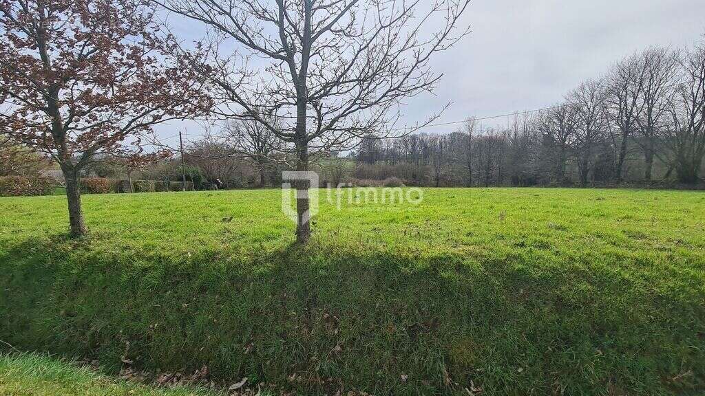 Terrain à SAINT-BOMER-LES-FORGES