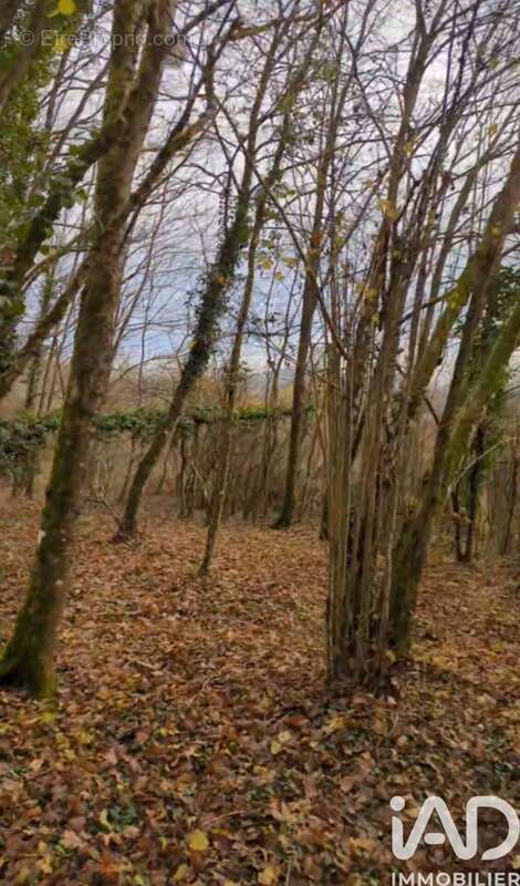 Photo 6 - Terrain à PONT-A-MOUSSON