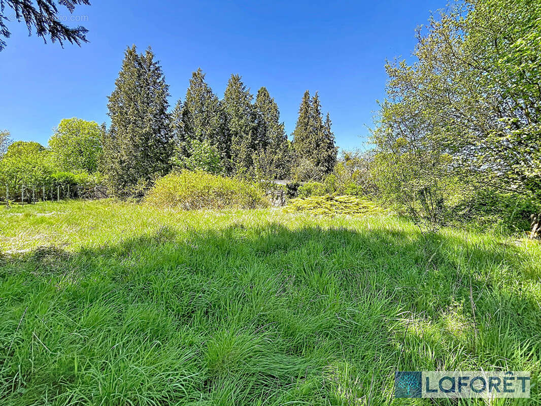 Terrain à BOURBONNE-LES-BAINS
