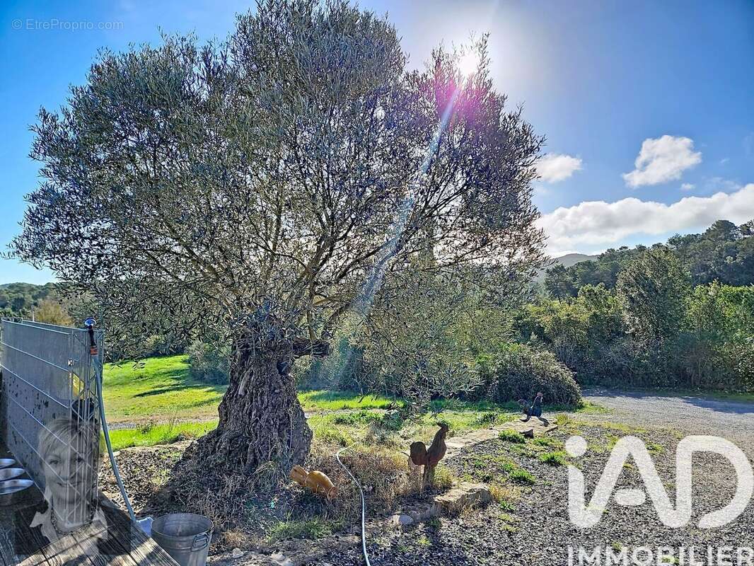 Photo 2 - Maison à CAZILHAC