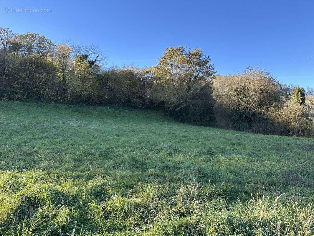 Terrain à MOUMOUR