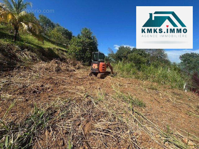 Terrain à LE LORRAIN