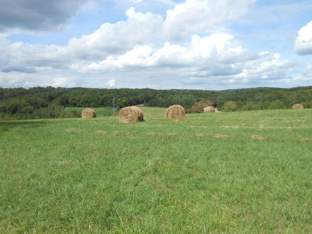 Maison à SAINT-FRONT-SUR-NIZONNE